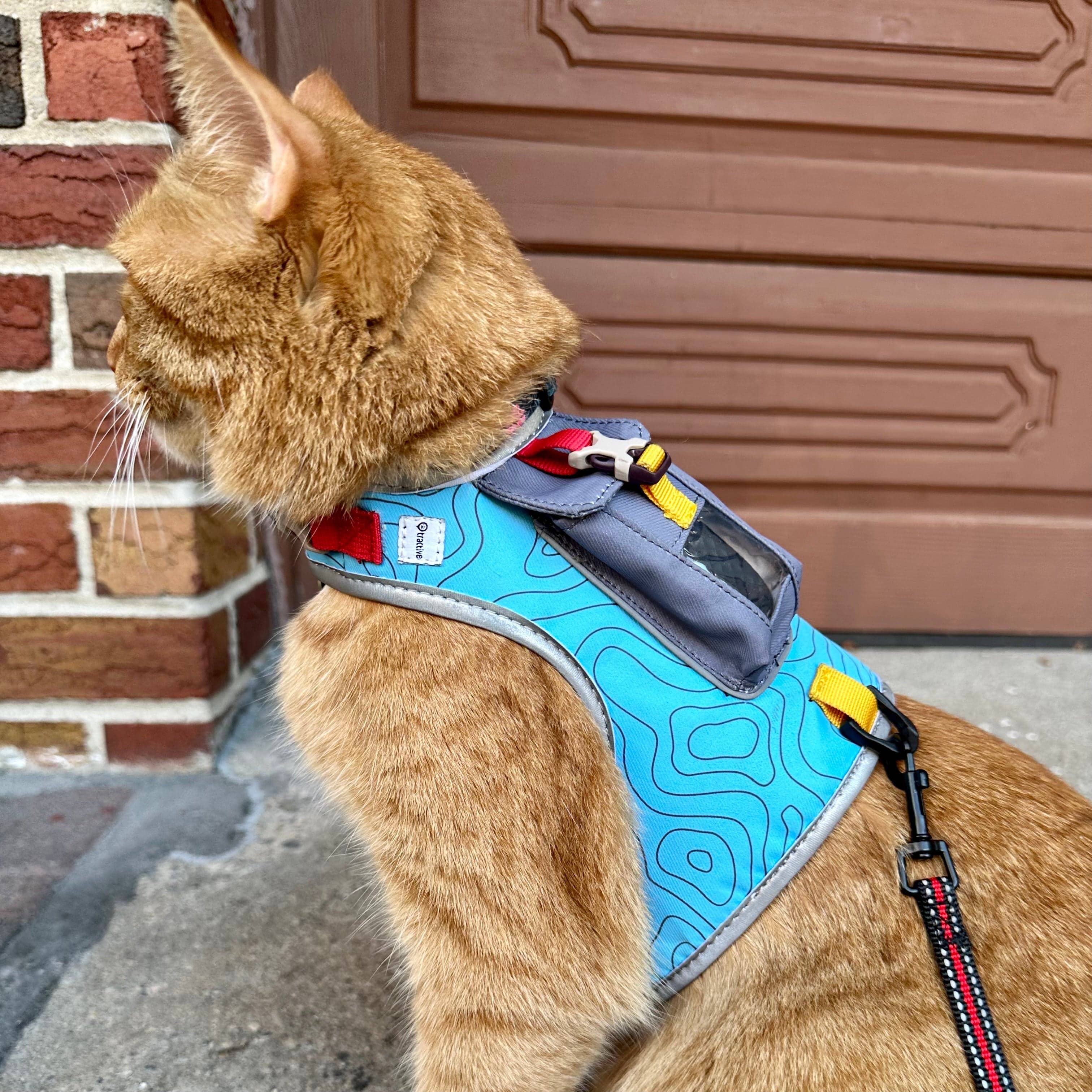 Travel Cat | Your Cat Backpack - "The Pathfinder" Cat Harness with GPS Tracker Pocket - Power: Orange Sunset / L